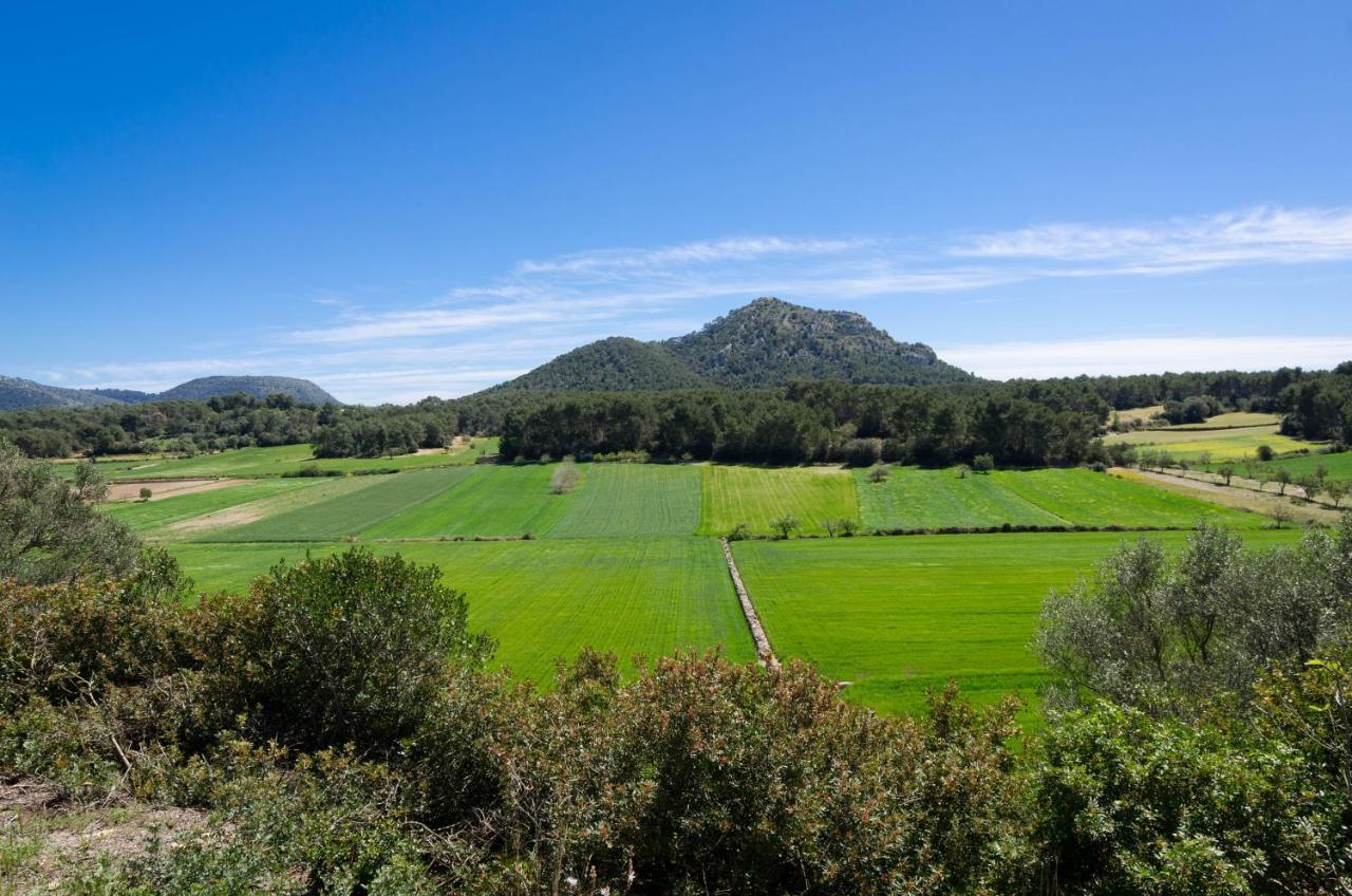 Villa Can Gallot De Punxuat à Algaida  Extérieur photo